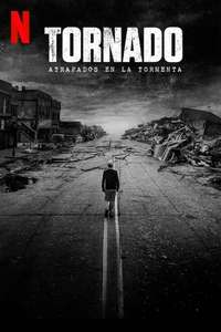 The Twister: Caught in the Storm - Posters