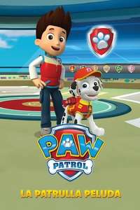 Paw Patrol - Posters