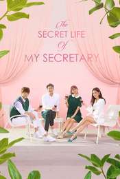 The Secret Life of My Secretary Season 1