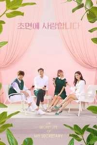 The Secret Life of My Secretary - Posters