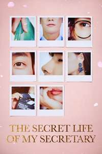 The Secret Life of My Secretary - Posters