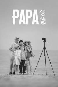 Papa - Posters