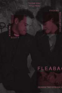Fleabag - Posters