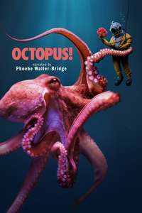 Octopus! - Posters