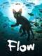 Flow