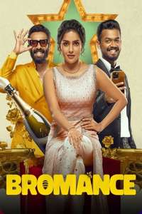 Bromance - Posters