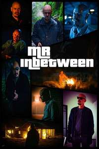 Mr Inbetween - Posters