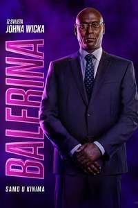 From the World of John Wick: Ballerina - Posters