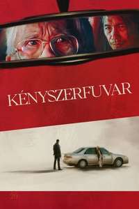 The Accidental Getaway Driver - Posters