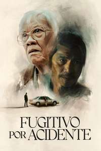 The Accidental Getaway Driver - Posters
