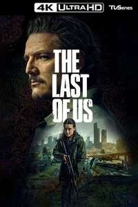 The Last of Us - Posters