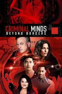 Criminal Minds: Beyond Borders - Posters