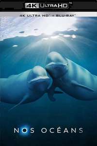 Our Oceans - Posters