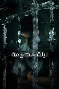 The Night Of - Posters