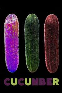 Cucumber - Posters