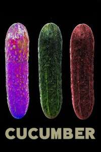 Cucumber - Posters