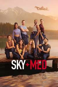 SKYMED - Posters