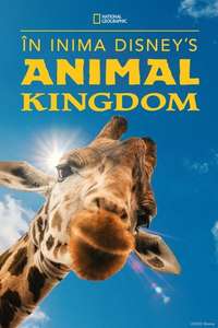 Magic of the Animal Kingdom - Posters