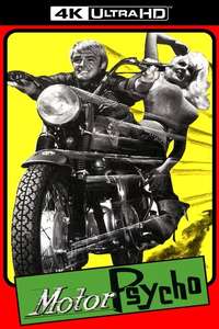 Motor Psycho - Posters