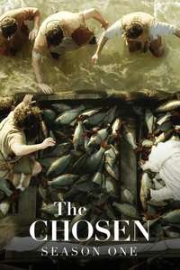 The chosen - Posters