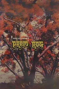 Prem Rog - Posters