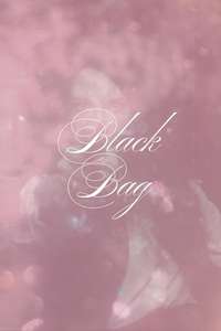 Black Bag - Posters