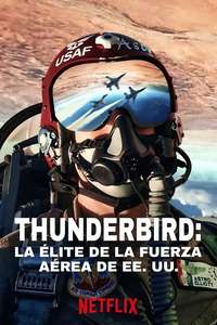 Air Force Elite: Thunderbirds - Posters