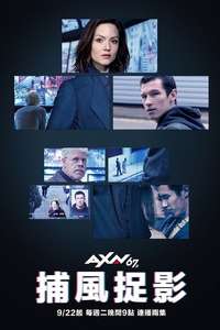 The Capture - Posters