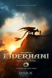 How to Train Your Dragon - Posters