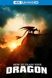 How to Train Your Dragon - Posters