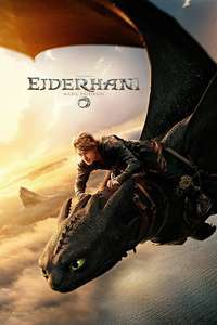 How to Train Your Dragon - Posters
