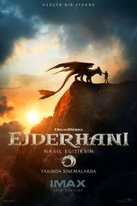 How to Train Your Dragon - Posters