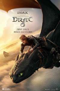 How to Train Your Dragon - Posters