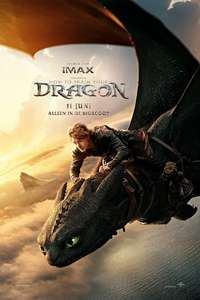 How to Train Your Dragon - Posters