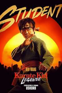 Karate Kid: Legends - Posters
