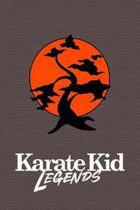 Karate Kid: Legends - Posters