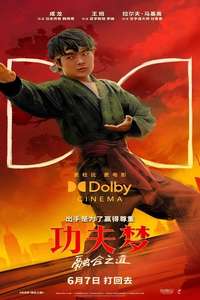 Karate Kid: Legends - Posters