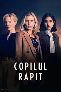 The Stolen Girl - Posters