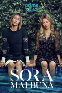 The Better Sister - Posters