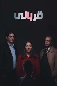 The Victim - Posters
