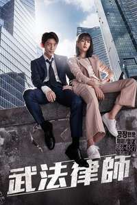 Lawless Lawyer - Posters