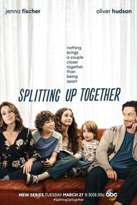 Splitting Up Together - Posters