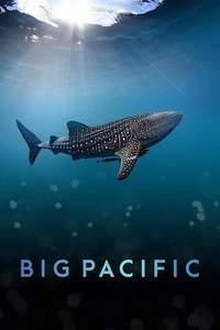 Big Pacific - Posters