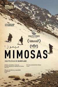 Mimosas - Posters
