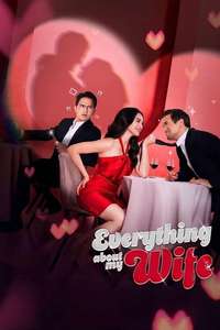 Everything About My Wife - Posters