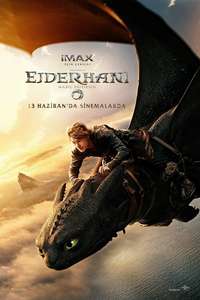 How to Train Your Dragon - Posters