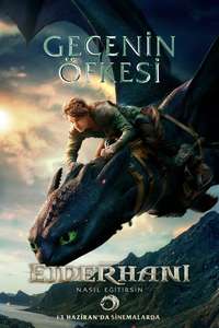 How to Train Your Dragon - Posters