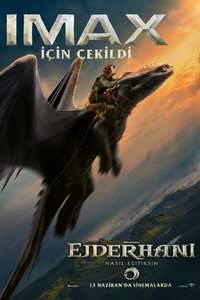 How to Train Your Dragon - Posters