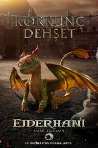 How to Train Your Dragon - Posters