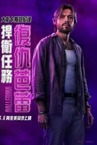 From the World of John Wick: Ballerina - Posters